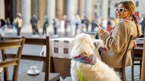Dog-Friendly Cafes and Restaurants in Australia