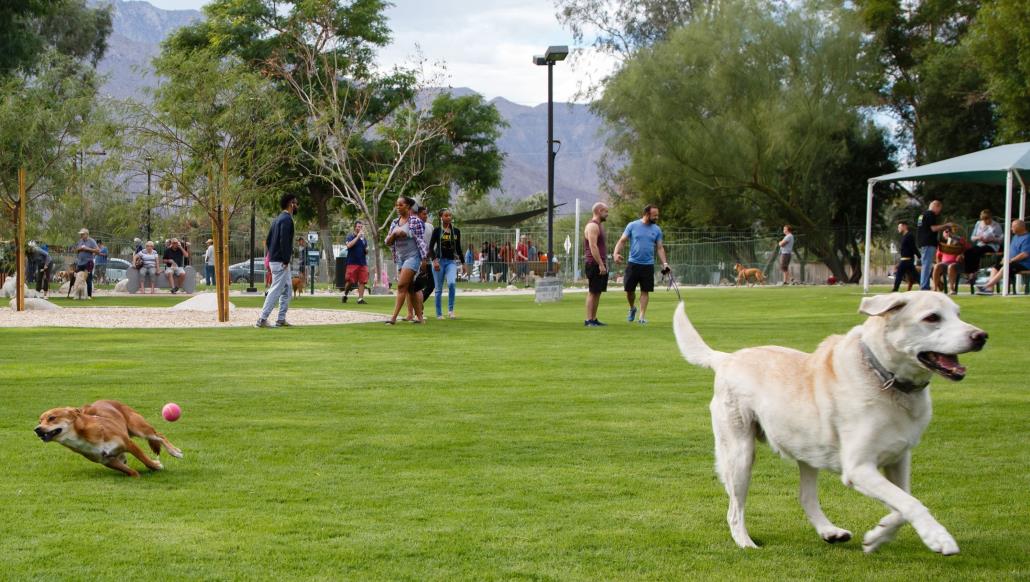 Top Dog Parks in Manila, Philippines